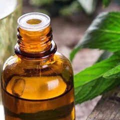 Beauty Therapy title