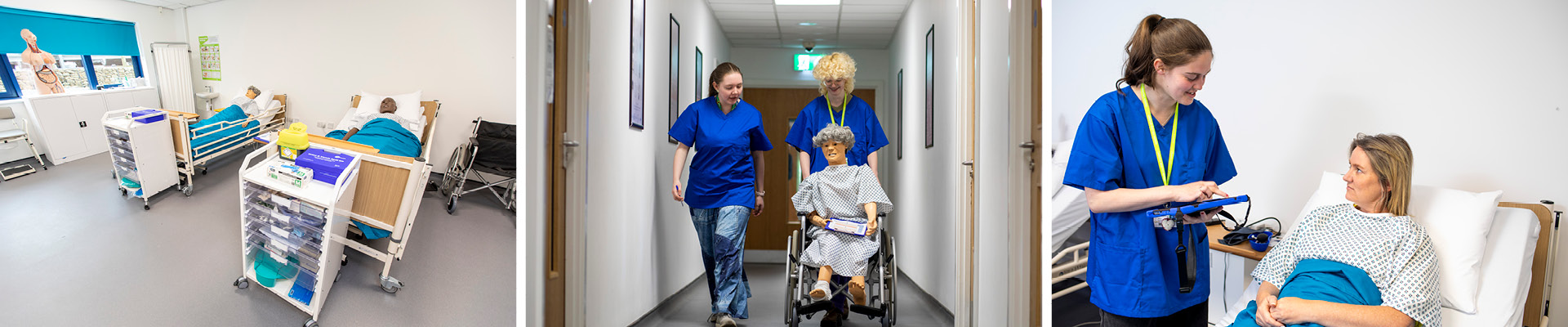 Health & Social Care alt
