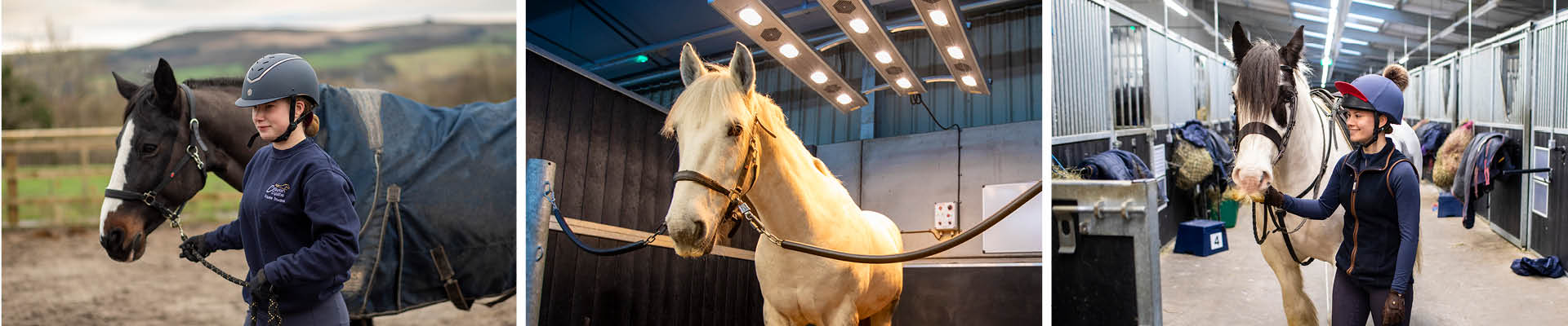 Horse Management alt
