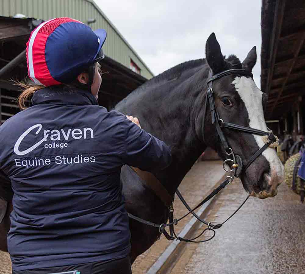 Horse Management