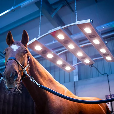 Equine Management title
