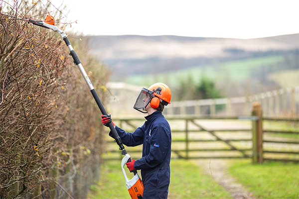 Countryside, Agriculture and Forestry & Arboriculture