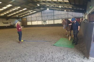 WEB george 400x267 - College Horses Given Important Assessments and Nutritional Plans alt