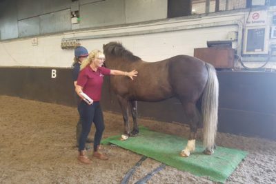 WEB sarah 400x267 - College Horses Given Important Assessments and Nutritional Plans alt