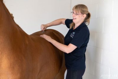 web 1 340 Social Media 400x267 - College Horses Enjoy Physiotherapy Session alt