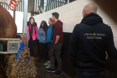web IMG 5153 400x267 - Equine Rehabilitation Visit At Crow Wood Equestrian alt