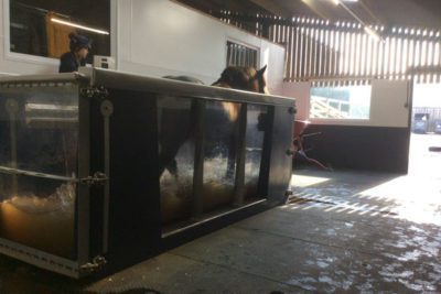 web IMG 5166 400x267 - Equine Rehabilitation Visit At Crow Wood Equestrian alt