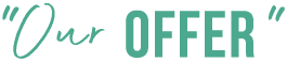 Our Offer 1 - Strategic Plan Our Offer 1 - Strategic Plan alt