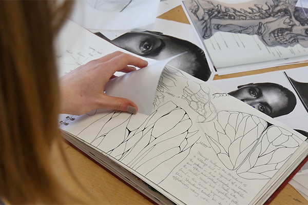 What you will study image