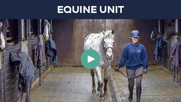 EquineYard Virtual Tour