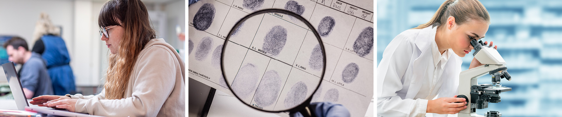 Criminology alt