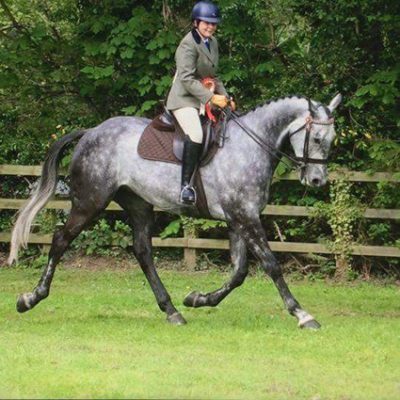 A Horton1 400x400 - Equine Photo Competition - Results alt