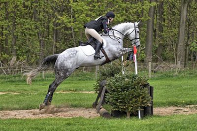 Class4 400x266 - Equine Photo Competition - Results alt