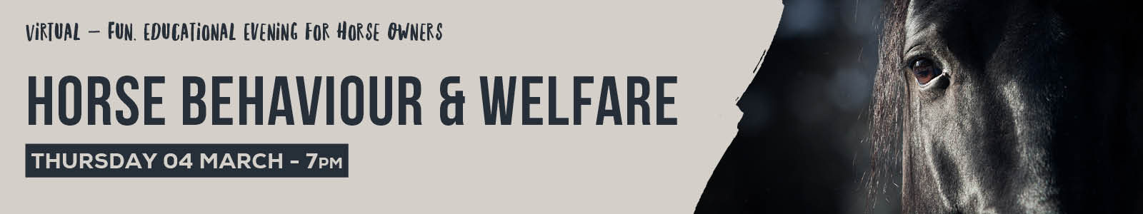 Horse Behaviour & Welfare 92050