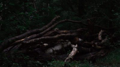 MicrosoftTeams image 7 400x225 - Media Student Shortlisted for National Photography Competition alt