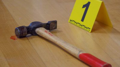 P1970714 400x225 - Forensic Science Year 11s Study The Evidence alt