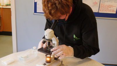 P1970839 400x225 - Forensic Science Year 11s Study The Evidence alt