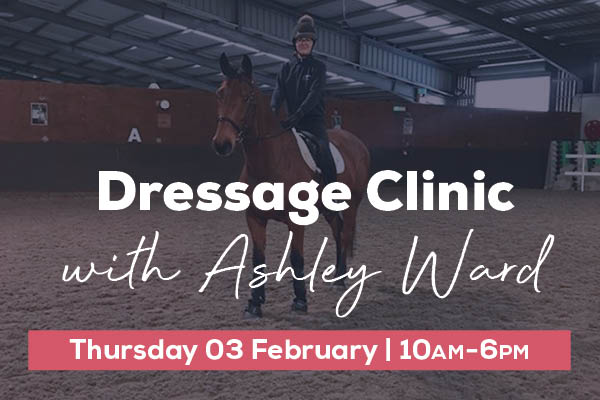 Dressage Clinic with Ashley Ward - 97851