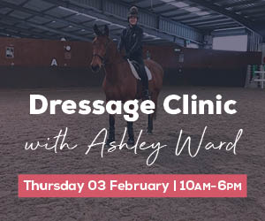 Dressage Clinic with Ashley Ward97851