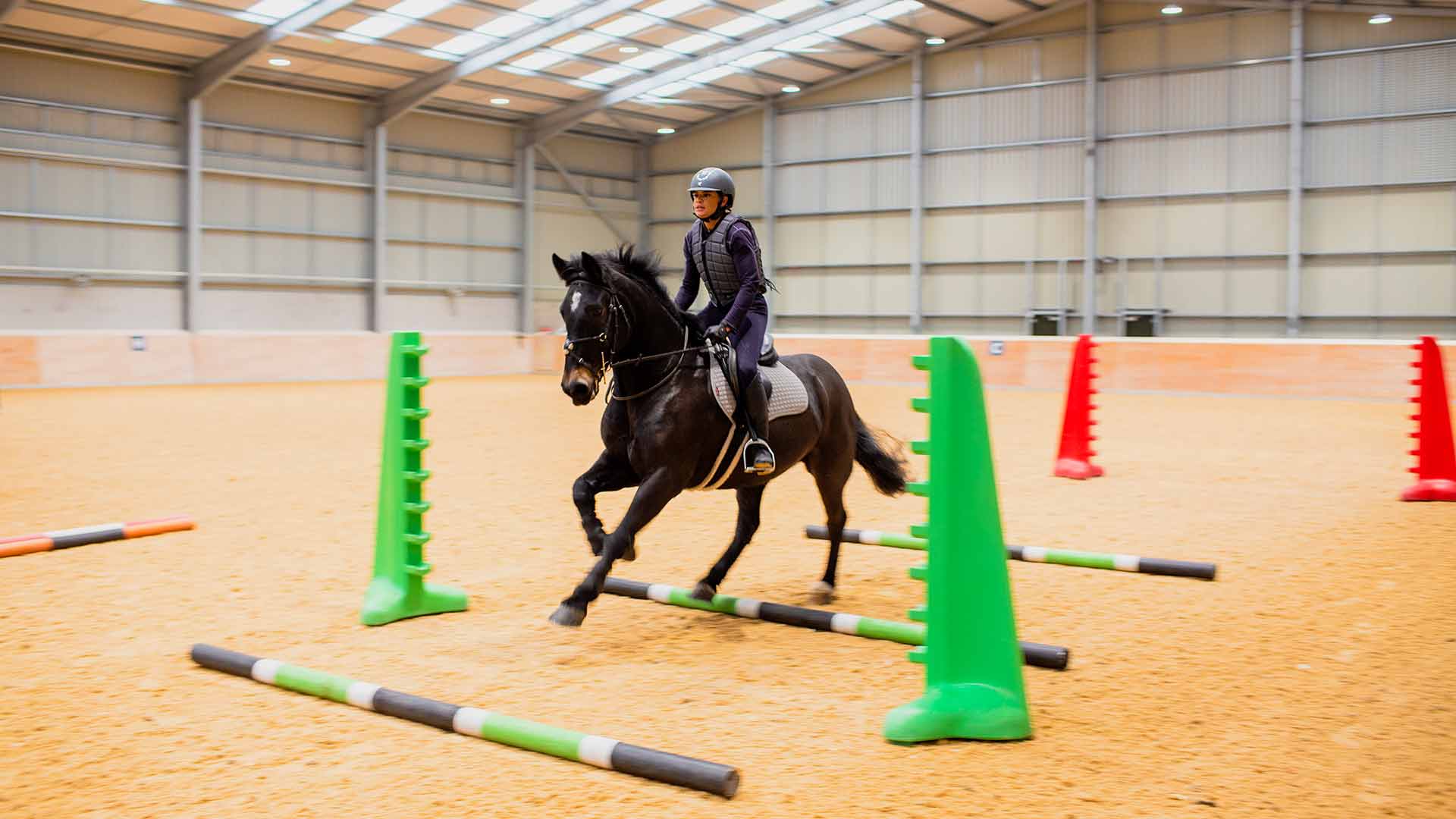 Applied Equine Management BSc (Hons) Topup Course Craven