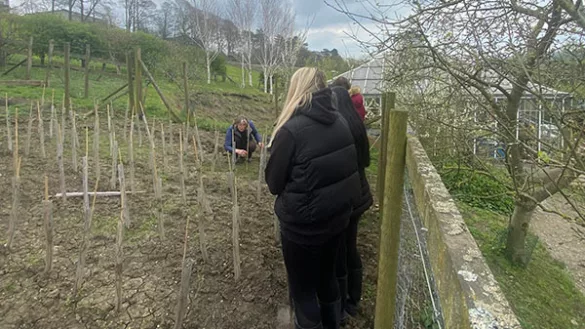 Planting Trees on Campus  - 