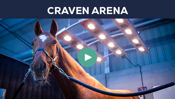 CravenArena Virtual Tour