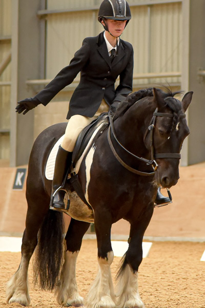Dressage competition at Craven Equine Arena