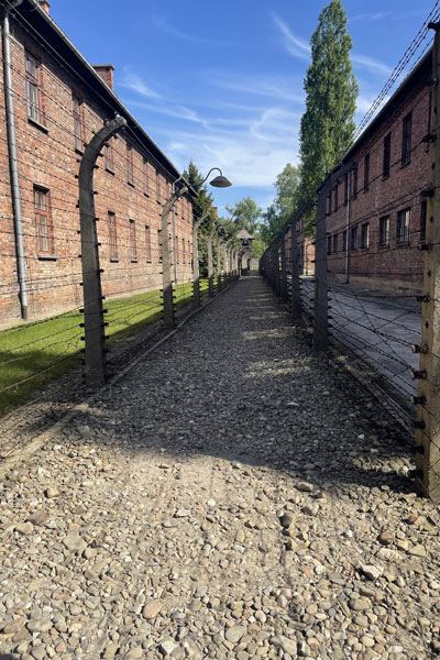 Year 1 Public Services Students visit to Auschwitz