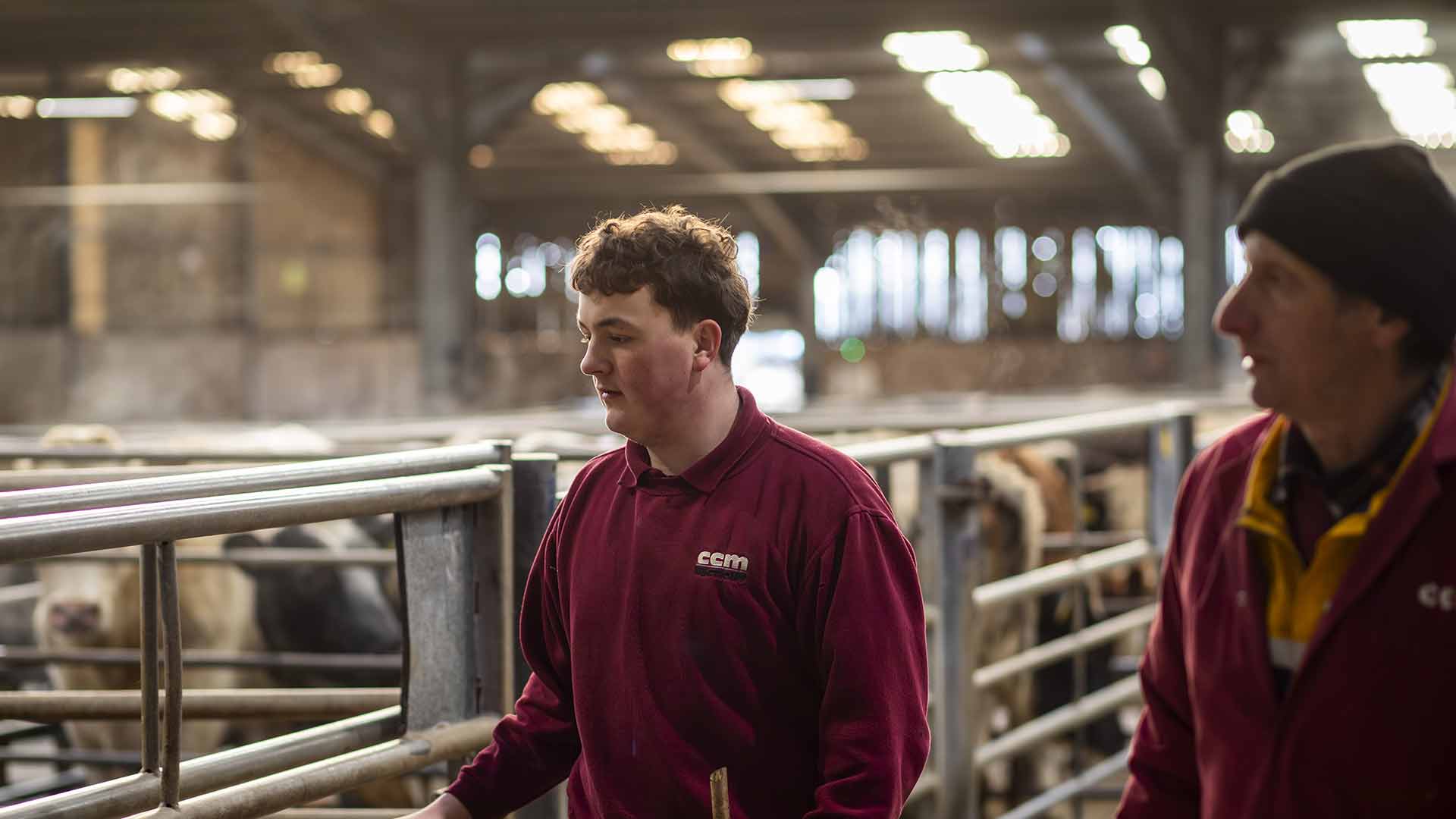 Assistant Farm Manager Apprenticeship Course - Craven