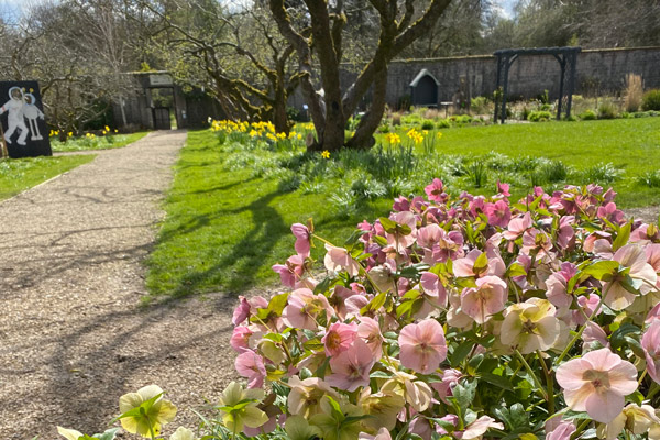 Evolve win Yorkshire in Bloom Award