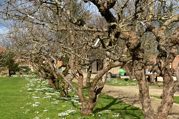 Evolve win Yorkshire in Bloom Award