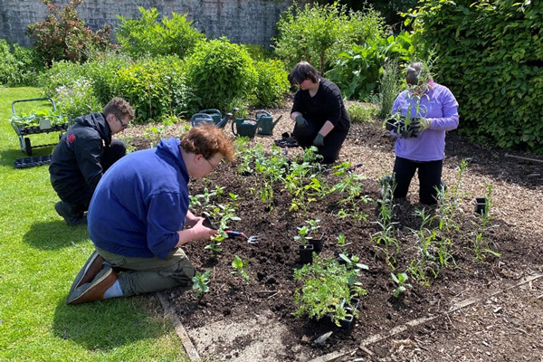 Evolve win Yorkshire in Bloom Award