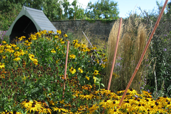 Evolve win Yorkshire in Bloom Award