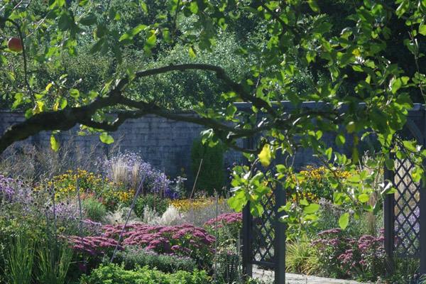 Evolve win Yorkshire in Bloom Award