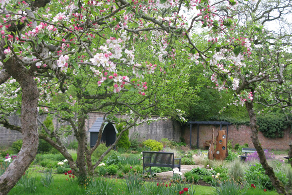 Evolve win Yorkshire in Bloom Award