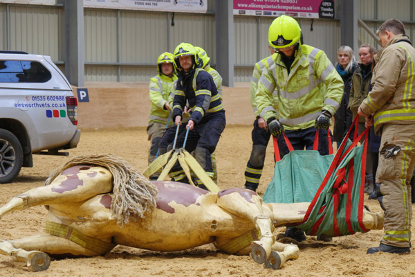 Equine Evacuation demo