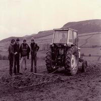 archive photo tractor in field