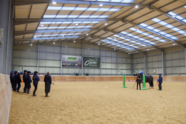 Equine Behaviourist Visit