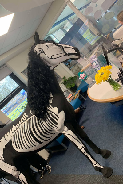 Derek the Horse