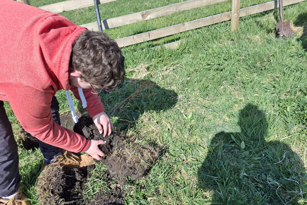 Harwes Farm Day