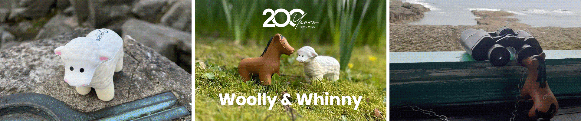 Celebrating 200 Years with Woolly & Whinny