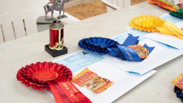 Spotlight on Our Equine Students! - 410022