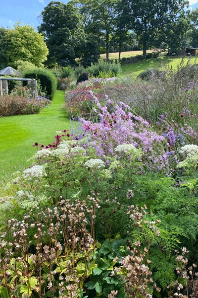 Gardener's World Feature