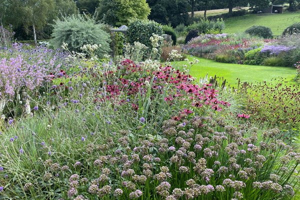 Gardener's World feature