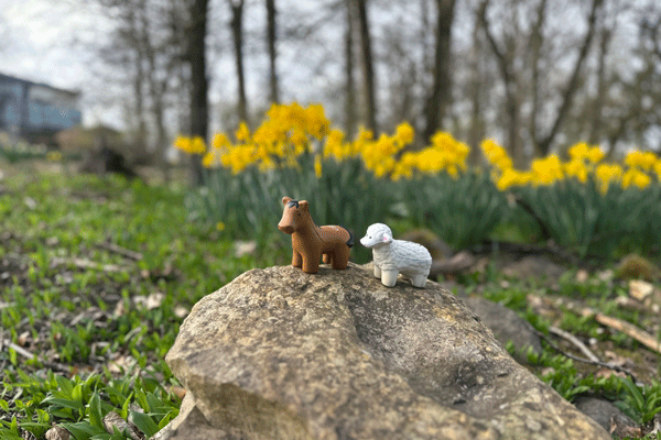 Woolly and Whinny