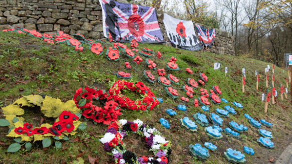 Craven College Falls Silent in Remembrance - 411755