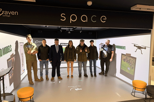 Immersive Room Countryside