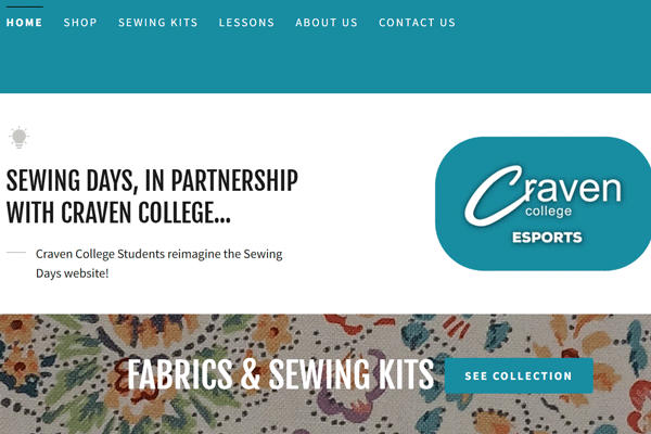 Esports Work Experience
