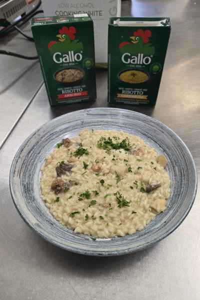 Gallo Rice Visit