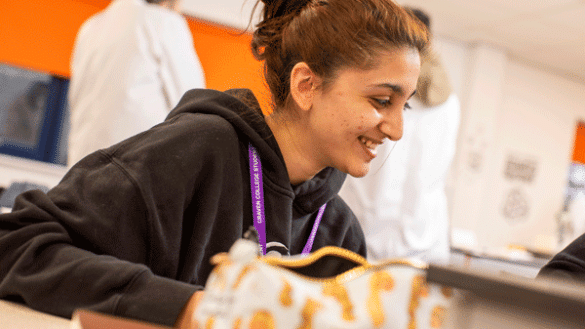 Access to Higher Education Success! - 414538